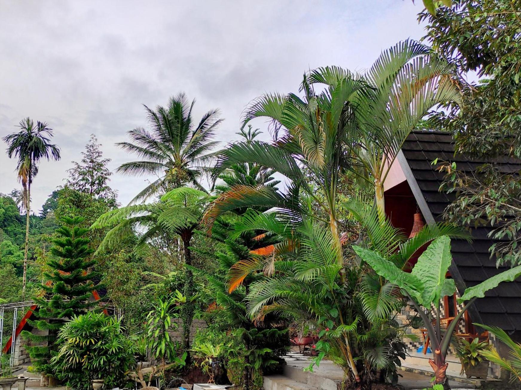 Goa Walet Cottage Praya Extérieur photo